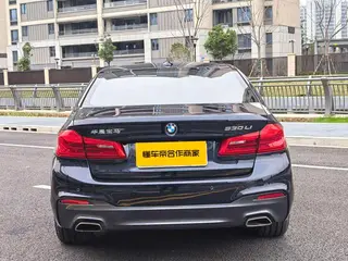 BMW 5 Series 2019 Restyling 530Li Leading Type M Sports suit exterior photo 5