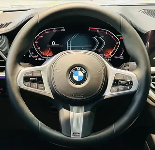 BMW 3 Series 2021 325Li M Sports suit exterior photo 8
