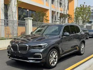 BMW X5 2020 xDrive30i X Набор дизайна