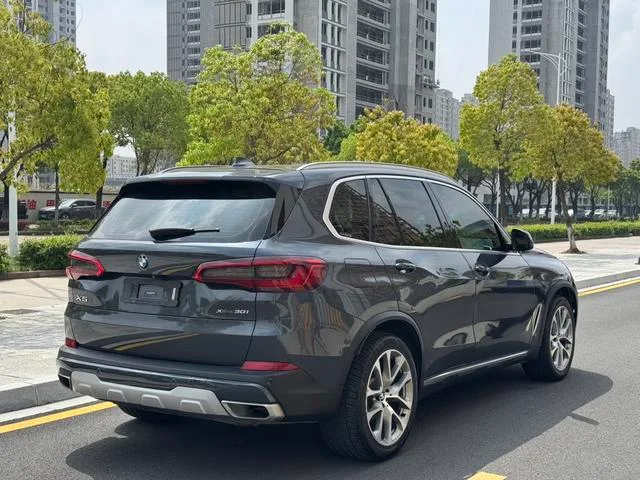 BMW X5 2020 xDrive30i X Design Suit exterior photo 4