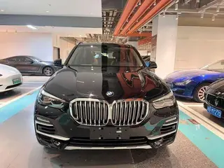BMW X5 2020 xDrive30i X Design Suit exterior photo 2