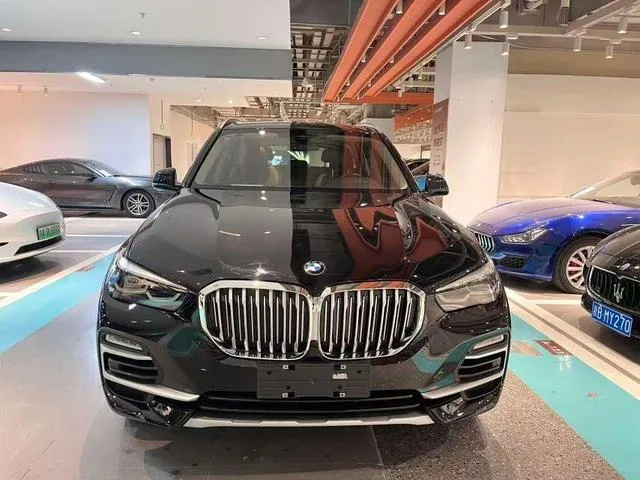 BMW X5 2020 xDrive30i X Design Suit exterior photo 2