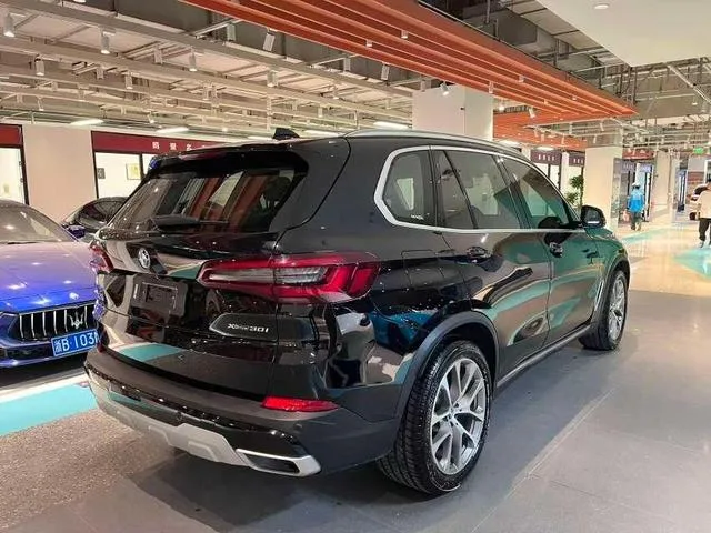BMW X5 2020 xDrive30i X Design Suit interior photo 16