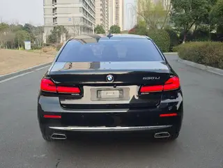 BMW 5 Series 2021 530Li Leading Type Luxury Set exterior photo 5 BMW 5 Series 2021 530Li Leading Type Luxury Set exterior photo 5