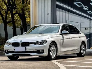 BMW 3 Series 2017 320Li Style tendance