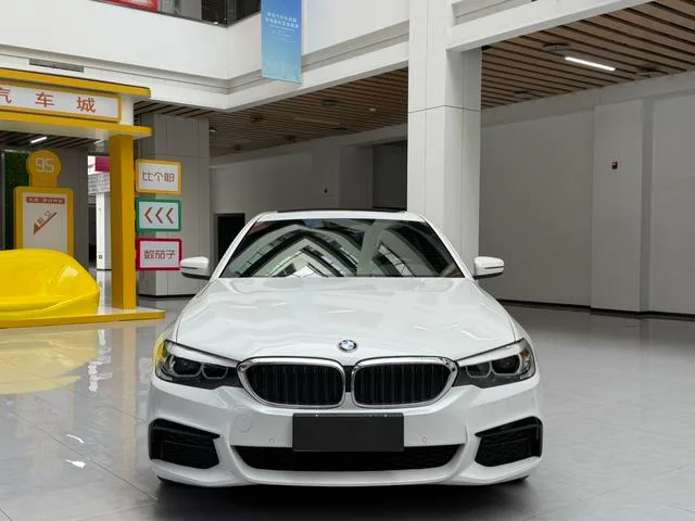 BMW 5 Series 2020 525Li M Sports suit exterior photo 2