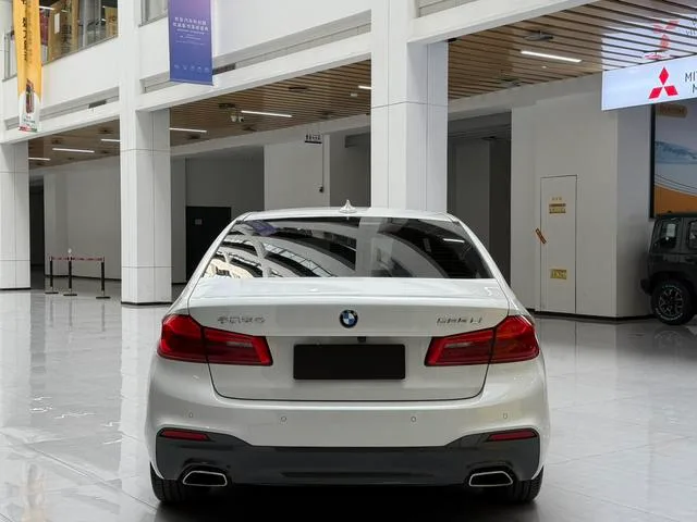 BMW 5 Series 2020 525Li M Sports suit exterior photo 5