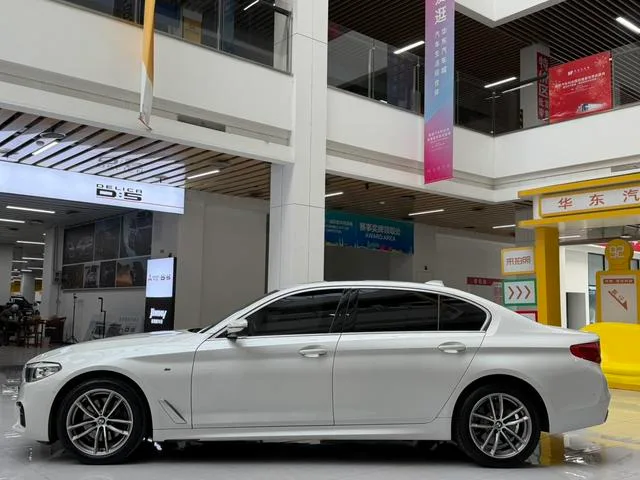BMW 5 Series 2020 525Li M Sports suit exterior photo 9