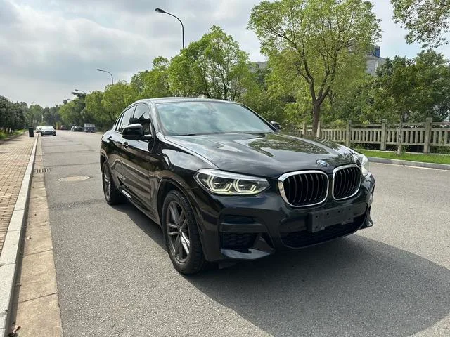 BMW X4 2020 xDrive25i Edición limitada del Caballero Negro exterior foto 3