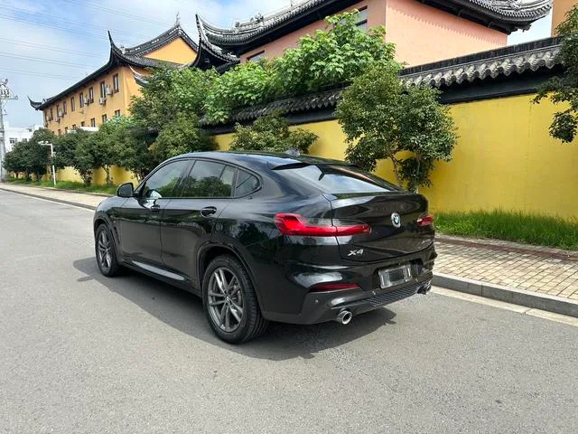 BMW X4 2020 xDrive25i Edición limitada del Caballero Negro exterior foto 5