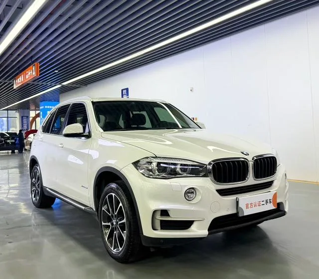 BMW X5 2014 xDrive35i Type de luxe extérieur photo 3