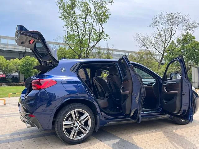 BMW X2 2020 sDrive25i Leading Type M Sports suit exterior photo 6
