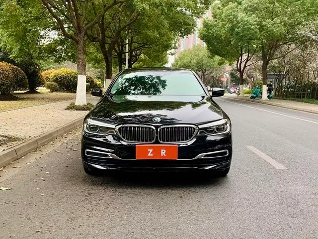 BMW 5 Series 2019 Restyling 530Li Premium Class Luxury Set exterior photo 2