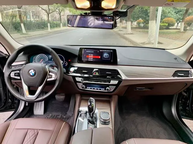 BMW 5 Series 2019 Restyling 530Li Premium Class Luxury Set exterior photo 7