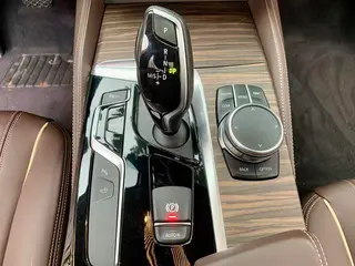 BMW 5 Series 2019 Restyling 530Li Premium Class Luxury Set exterior photo 10
