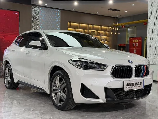 BMW X2 2021 sDrive25i Leading Type M Sports suit exterior photo 3