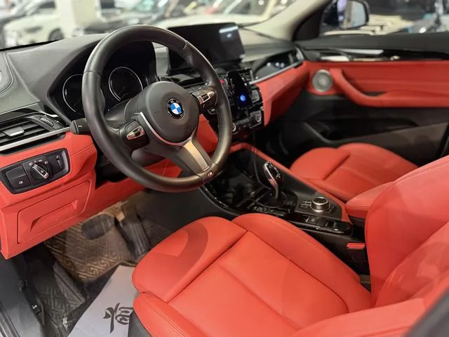 BMW X2 2021 sDrive25i Leading Type M Sports suit exterior photo 5