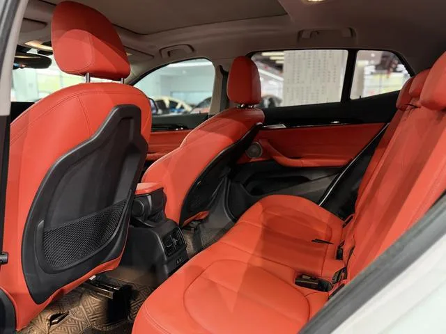 BMW X2 2021 sDrive25i Leading Type M Sports suit exterior photo 8