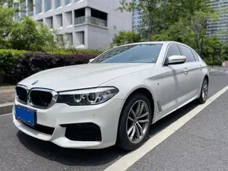 BMW 5 Series 2020 525Li M Спортивный костюм