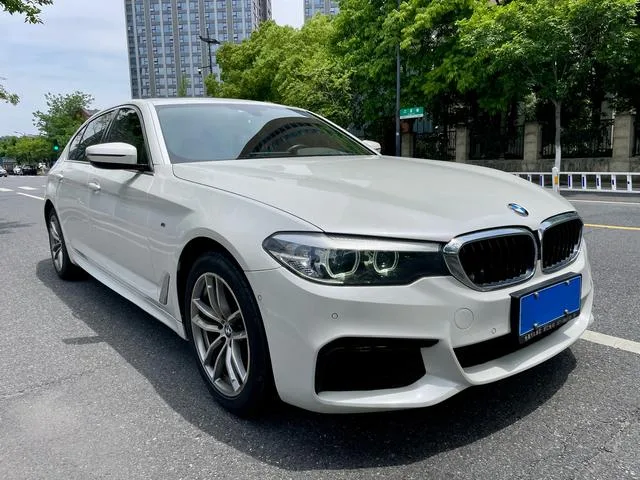 BMW 5 Series 2020 525Li M Sports suit exterior photo 3
