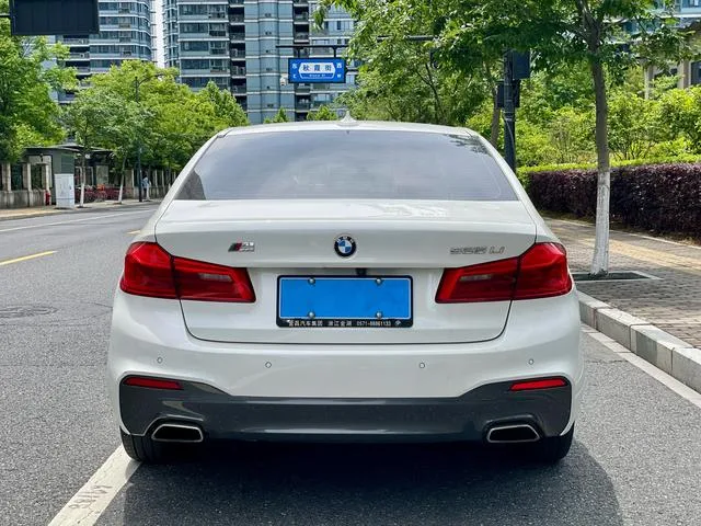 BMW 5 Series 2020 525Li M Sports suit exterior photo 6