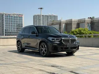 BMW X5 2019 xDrive40i Premium Class M Sports suit exterior photo 3