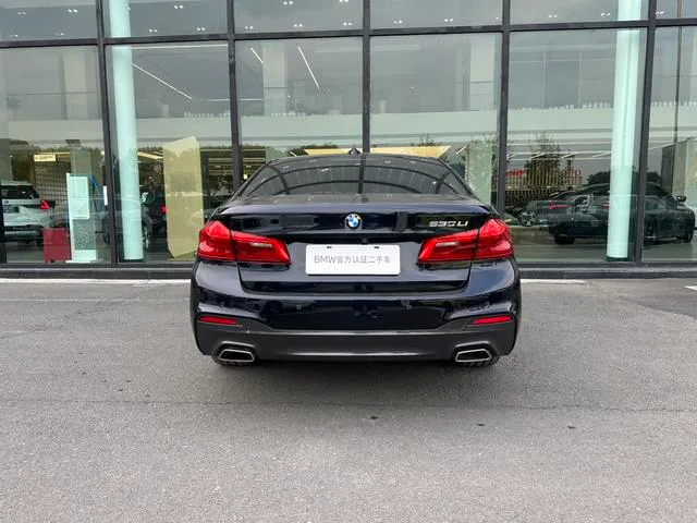 BMW 5 Series 2020 530Li Premium Class M Sports suit exterior photo 5