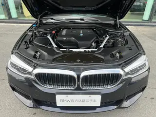 BMW 5 Series 2020 530Li Premium Class M Sports suit interior photo 12