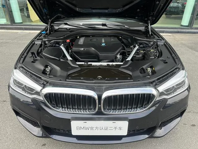 BMW 5 Series 2020 530Li Premium Class M Sports suit interior photo 12