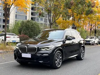 BMW X5 2019 xDrive30i M Conjunto deportivo