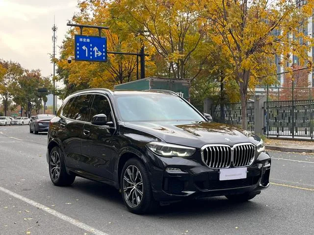 BMW X5 2019 xDrive30i M Sports suit exterior photo 2