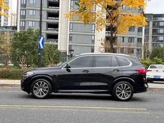 BMW X5 2019 xDrive30i M Sports suit exterior photo 3
