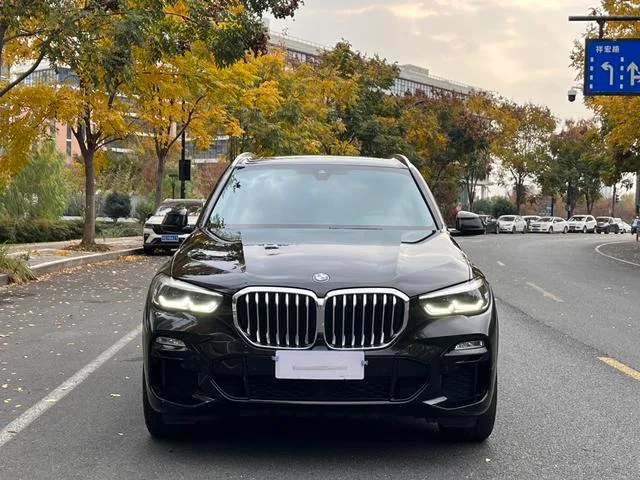 BMW X5 2019 xDrive30i M Sports suit exterior photo 5