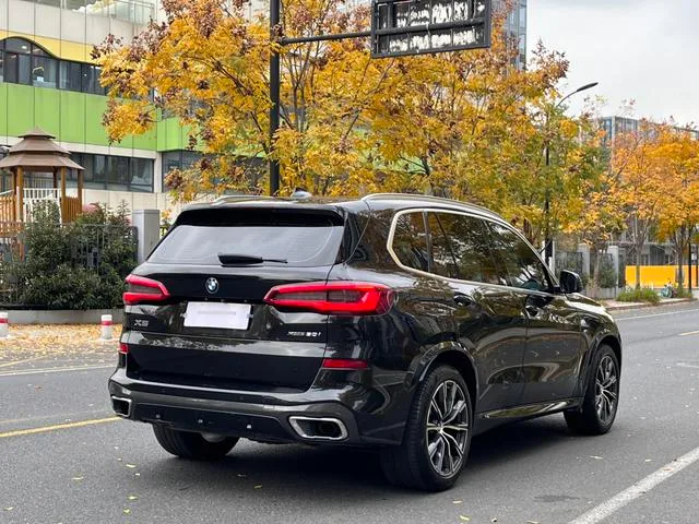 BMW X5 2019 xDrive30i M Sports suit interior photo 17