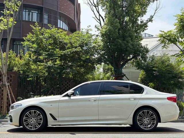 BMW 5 Series 2019 Restyling 530Li Premium Class M Sports suit exterior photo 5
