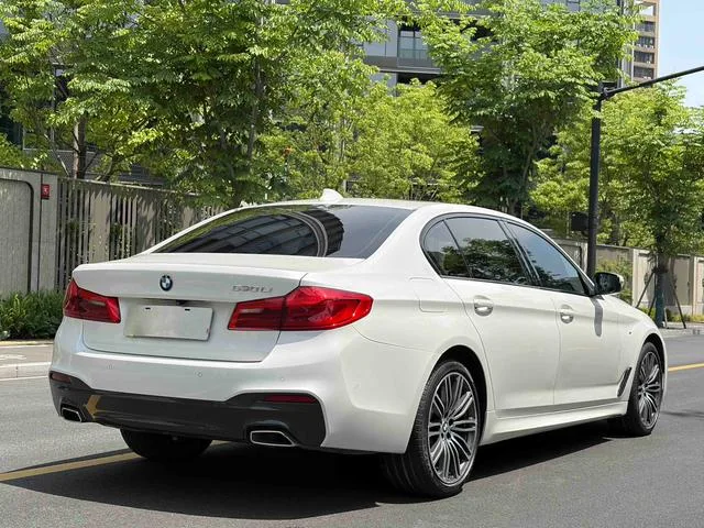 BMW 5 Series 2019 Restyling 530Li Premium Class M Sports suit interior photo 16