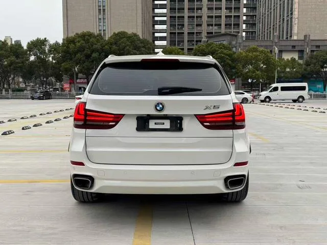 BMW X5 2018 xDrive35i M Modèle de luxe sportif intérieur photo 8 BMW X5 2018 xDrive35i M Modèle de luxe sportif intérieur photo 8
