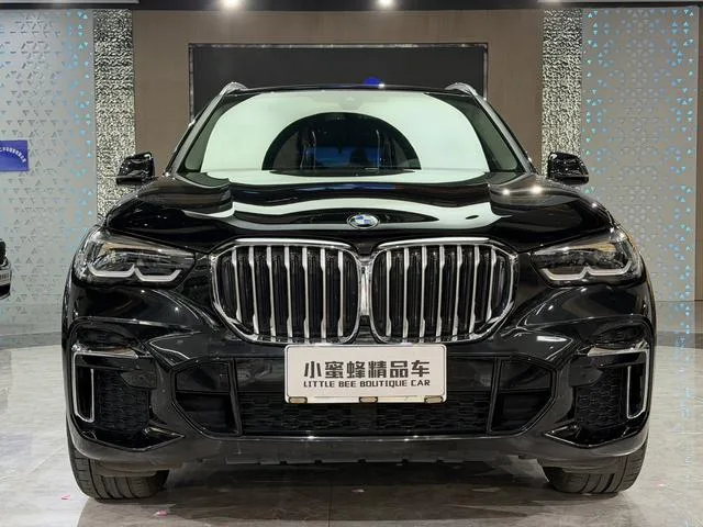 BMW X5 2022 Reforma xDrive 30Li M Conjunto deportivo exterior foto 2