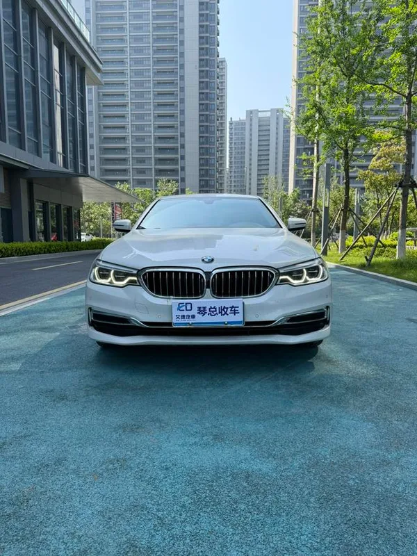 BMW 5 Series 2020 530Li Leader Ensemble de luxe extérieur photo 2