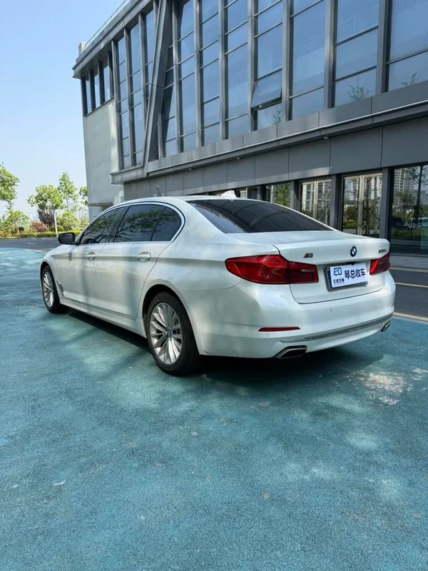 BMW 5 Series 2020 530Li Leader Ensemble de luxe intérieur photo 7