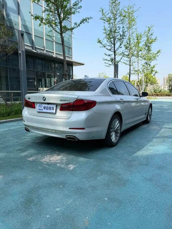 BMW 5 Series 2020 530Li Leader Ensemble de luxe intérieur photo 9