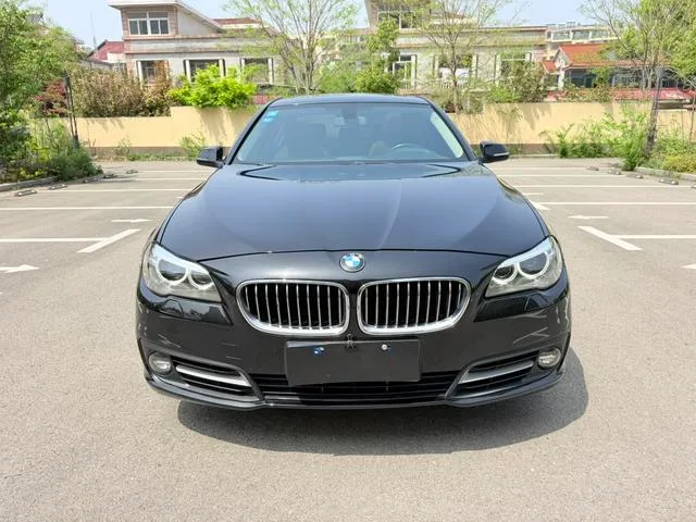 BMW 5 Series 2017 525Li Set de diseño de lujo exterior foto 2 BMW 5 Series 2017 525Li Set de diseño de lujo exterior foto 2