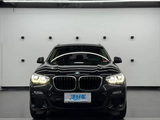 BMW X3 2019 xDrive30i Leading Type M Sports suit exterior photo 2