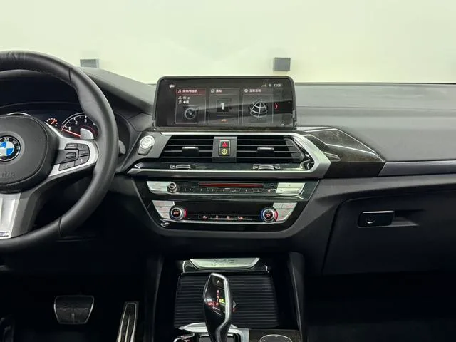 BMW X3 2019 xDrive30i Leading Type M Sports suit exterior photo 7