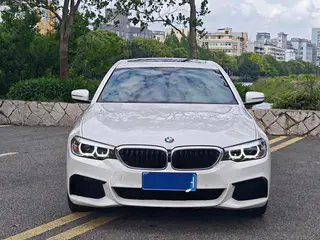BMW 5 Series 2019 Модификация 530Li Лидирующий M Спортивный костюм экстерьер фото 2
