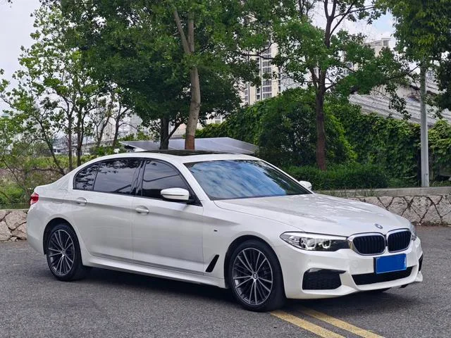 BMW 5 Series 2019 Модификация 530Li Лидирующий M Спортивный костюм экстерьер фото 3