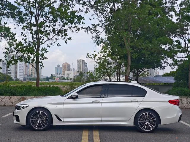 BMW 5 Series 2019 Модификация 530Li Лидирующий M Спортивный костюм интерьер фото 8
