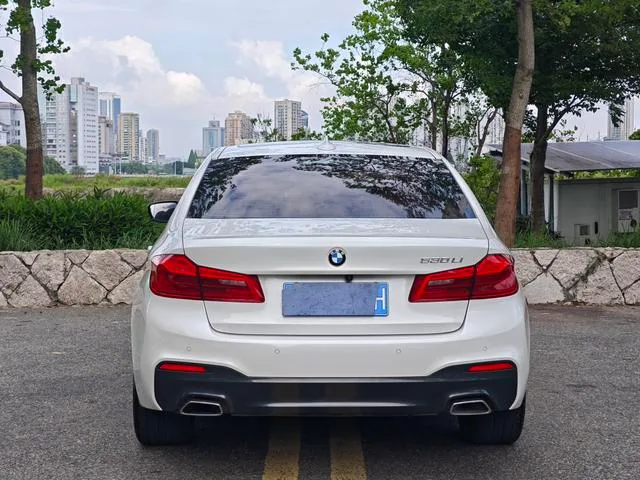 BMW 5 Series 2019 Модификация 530Li Лидирующий M Спортивный костюм интерьер фото 9