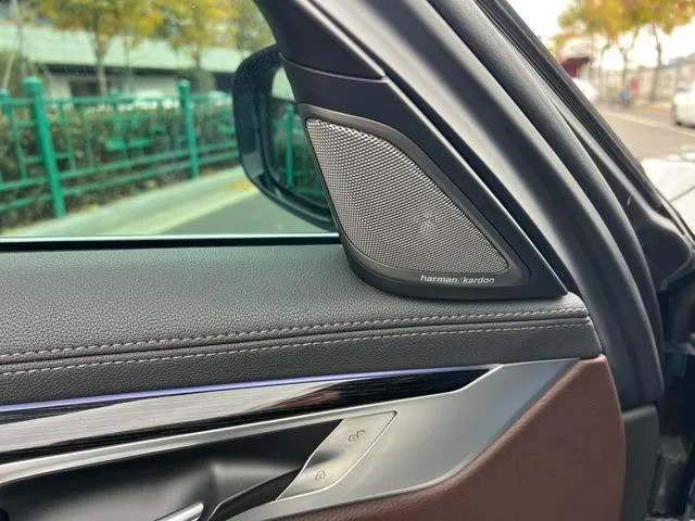 BMW 7 Series 2018 730Li Leading Type M Sports suit exterior photo 7