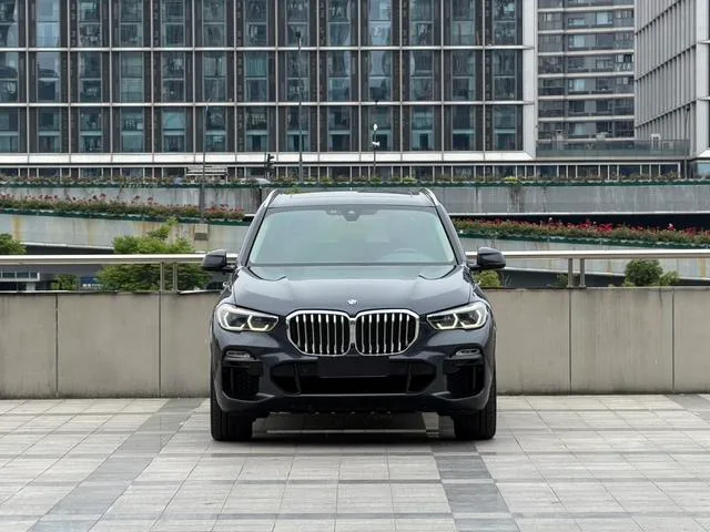 BMW X5 2019 xDrive40i M Conjunto deportivo exterior foto 3